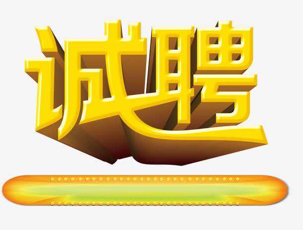 诚聘网站建设/网站制作/网站程序员
